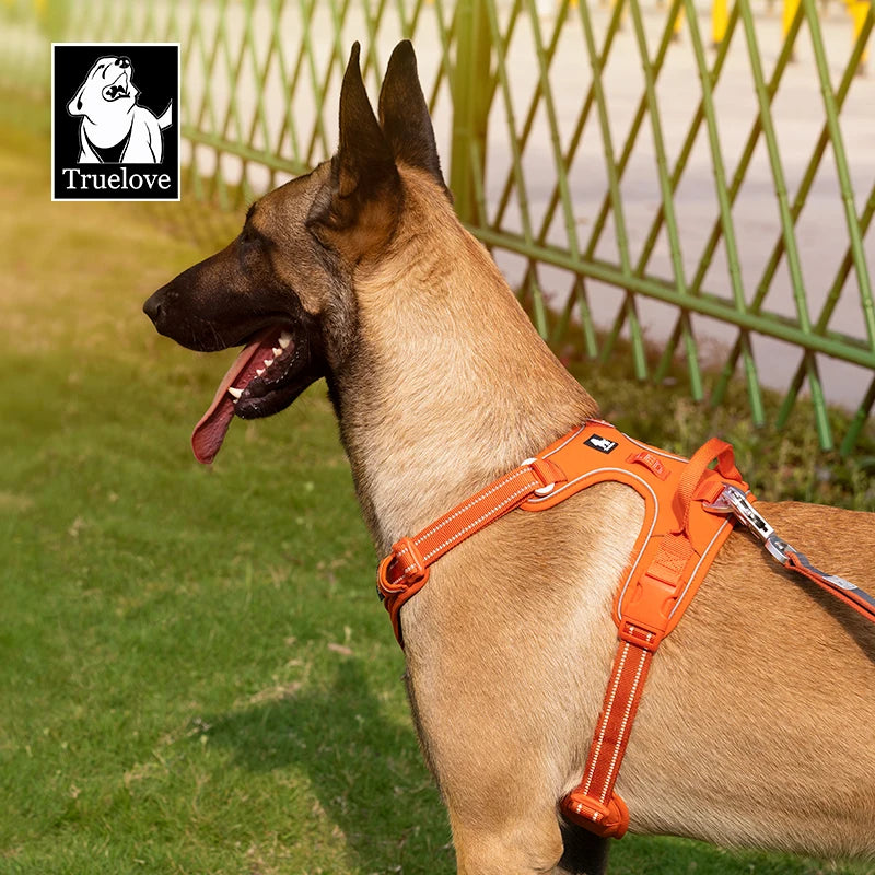 No-Pull Reflective Dog Harness with Padded Control Handle